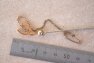 Small 9ct Horse Shoe Tie Pin 006